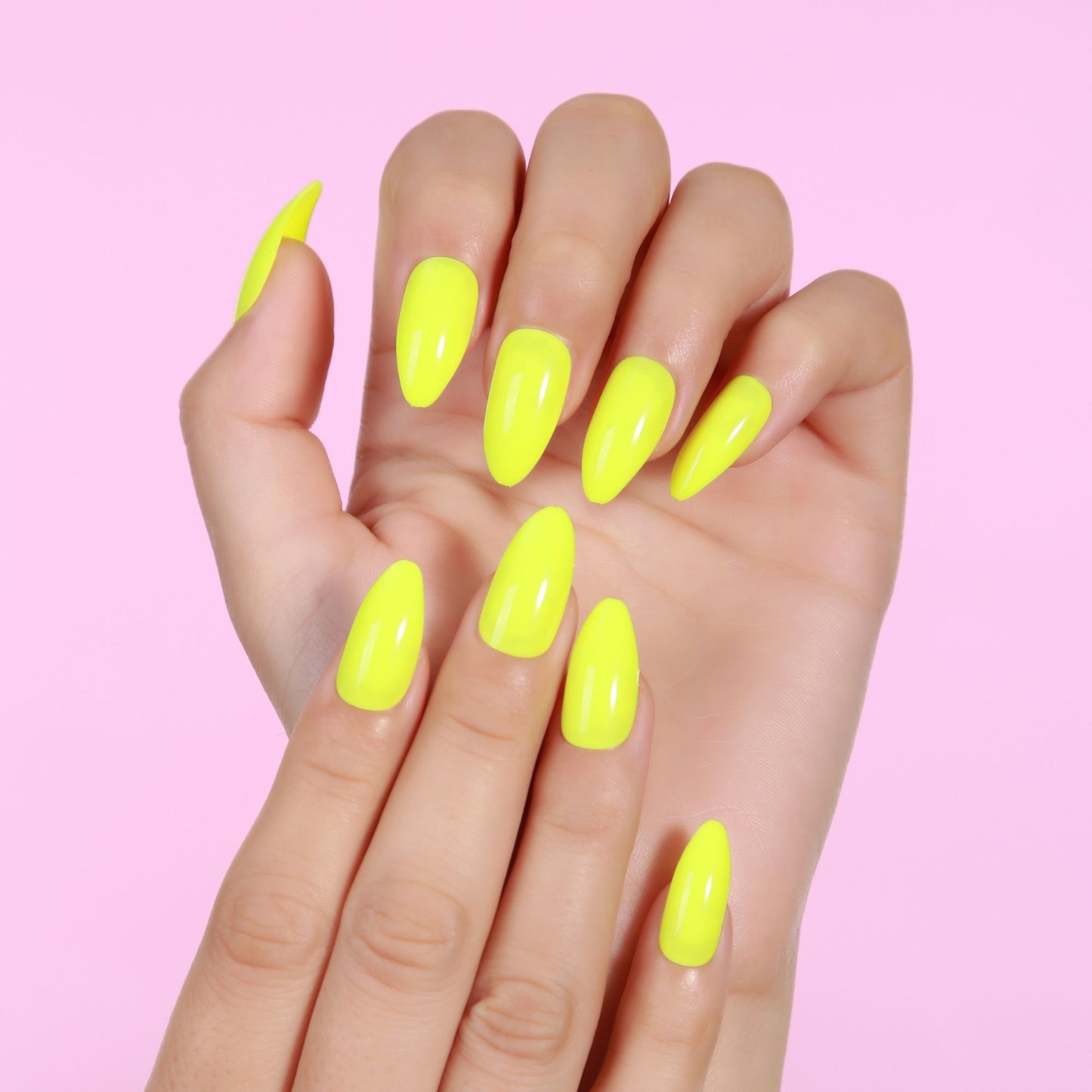 Neon Vibes