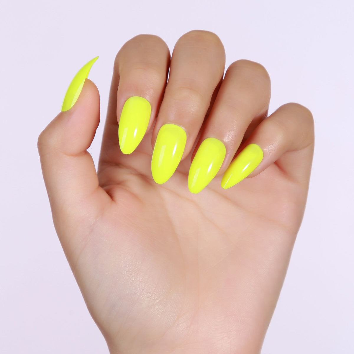 Neon Vibes